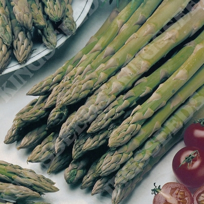 Picture of Asparagus Connovers Colossal