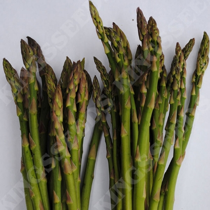 Picture of Asparagus  Ariane F1