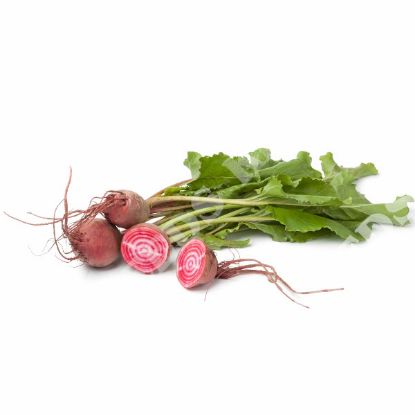 Picture of Beetroot  Barbabietola di Chioggia