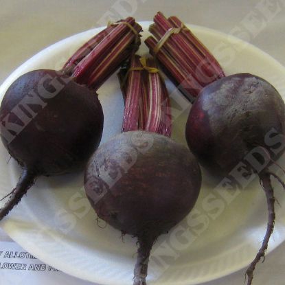 Picture of  Beetroot  Red Ace F1