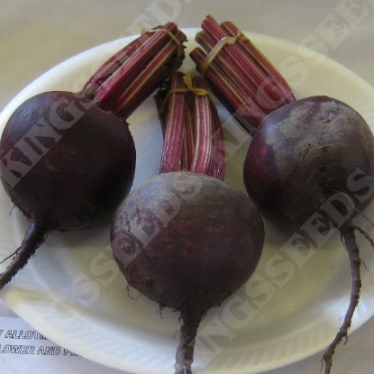 Picture of Beetroot Red Ace F1