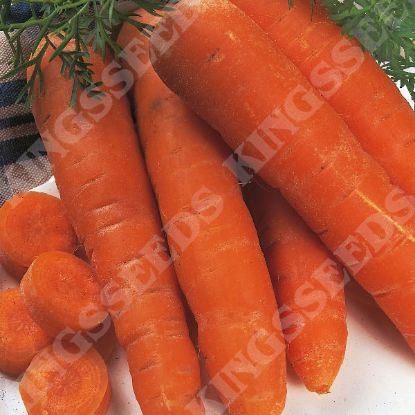 Picture of Carrot  Autumn King - Growers Pack (Award of Garden Merit)