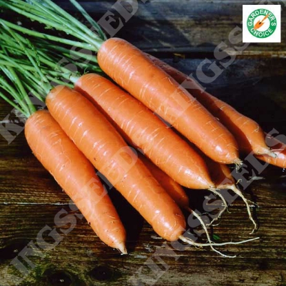 Picture of Carrot  Eskimo F1