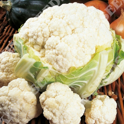 Picture of Cauliflower  Candid Charm F1