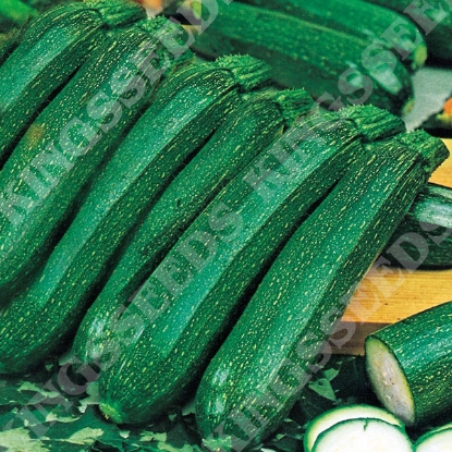 Picture of Courgette  Ambassador F1