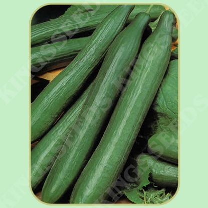 Picture of Cucumber Pepinex F1