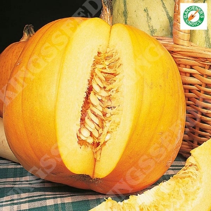 Picture of Pumpkin  Jack O’Lantern