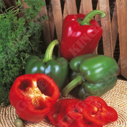 Picture of Pepper (Sweet) New Ace F1 PPP A.Capsicum annuum B.GB40557 C.Lot D.GB