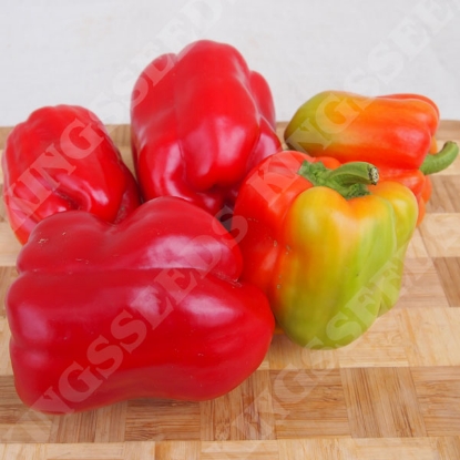 Picture of Pepper (Sweet) Granova PPP A.Capsicum chinese B.GB40557 C.Lot pkt D.GB