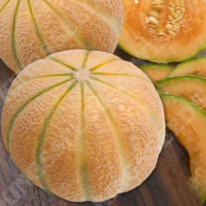 Picture of Melon  Malaga F1