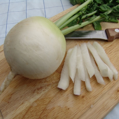 Picture of Radish  Mooli Accord (round Diakon)