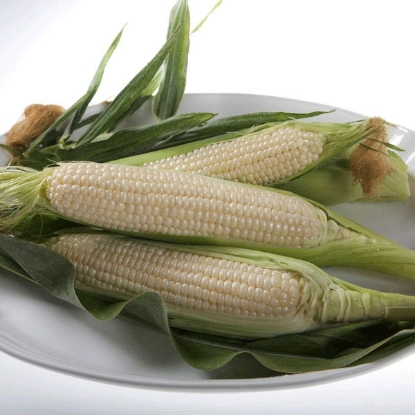 Picture of Sweetcorn Amaize F1 SH2