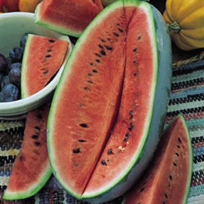 Picture of Water Melon  Charleston Gray