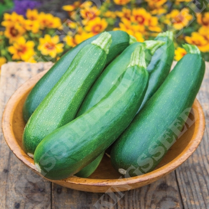 Picture of Courgette Sure Thing F1