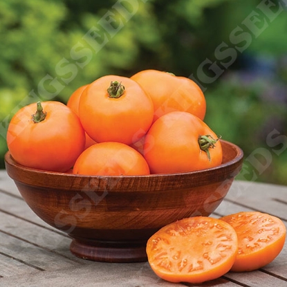 Picture of Tomato Orange Wellington F1  PPP A.Solanum lycopersicum B.GB40557 C.lot pkt D.GB