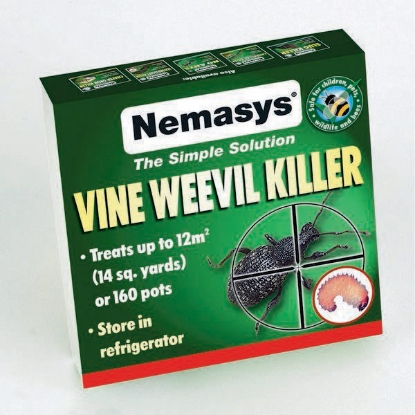 Picture of DIRECT SALE Nemaslug Vine Weevil Killer treats 12M2 APPLY APRIL-MAY OR SEPT-OCT