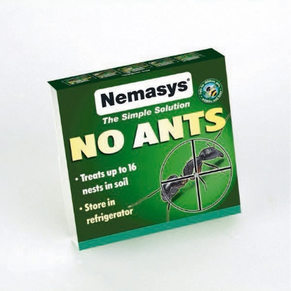 Picture of DIRECT SALE Nemays No Ants Treats 16 nests DELIVERY APRIL TO SEPTEMBER