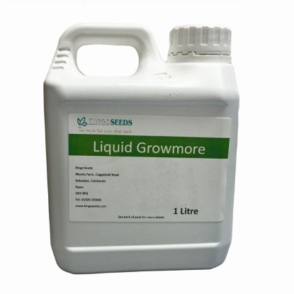 Picture of Angus Liquid Growmore - 1 Litre