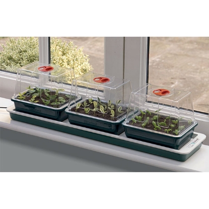 Picture of Trio Top Electric Windowsill Propagator