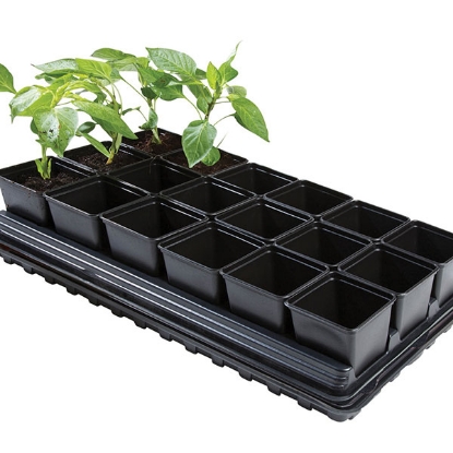 Picture of Professional Vegetable Tray Set