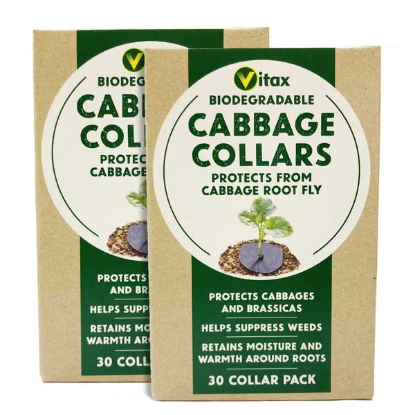 Picture of Cabbage Collars - 60 discs (TWO PACKS)