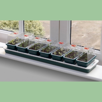 Picture of Windowsill Propagator