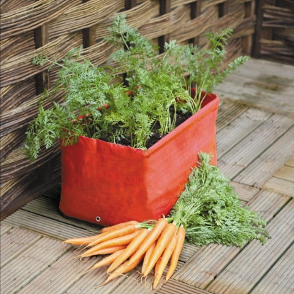 Picture of Carrot Planter - 2 planter pack