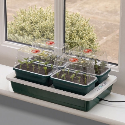 Picture of - Fab 4 Electric Propagator 38.5cmx24cmx17.5cm 10 watt.