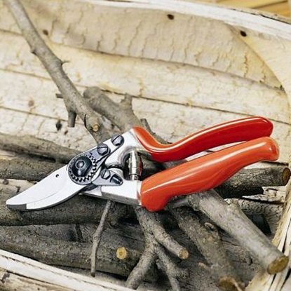 Picture of The Felco No.7 Secateurs.