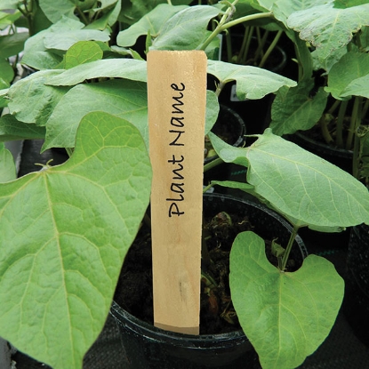 Picture of Wooden Plant Labels - 10 per pack