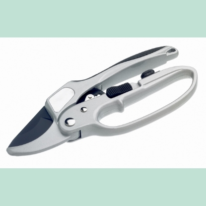 Picture of Ratchet Pruner