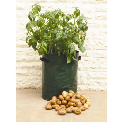 Picture of Patio Potato Planters - pack of 3