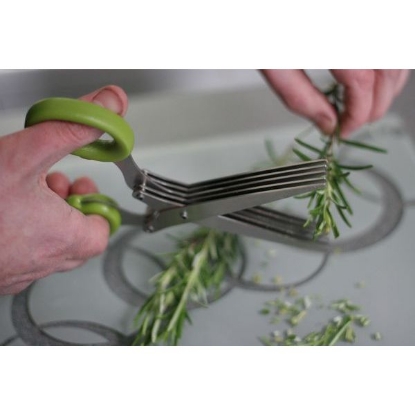 Picture of Herb Scissors