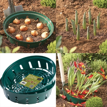 Picture of  Bulb Planting Basket - Round Large 30cm - pack of 2