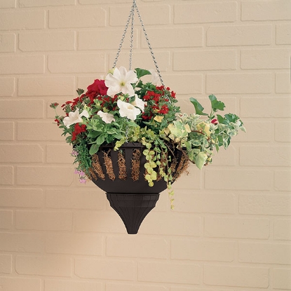 Picture of Aqua Lock Self Watering Hanging Basket