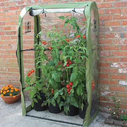 Picture of Tomato Frame Cover