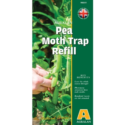 Picture of Pea Moth Trap - Refill Pack