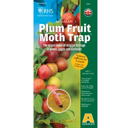 Picture of Pheromone Plum Fruit Moth Trap - 1 Pack