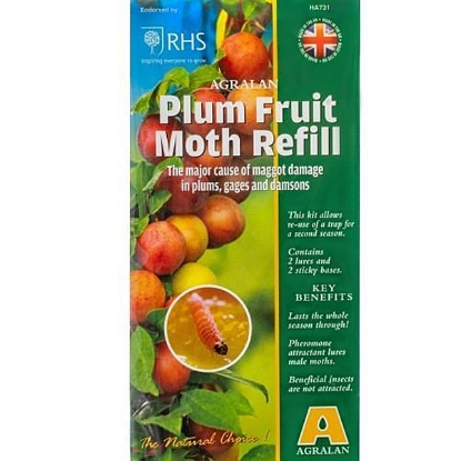 Picture of Pheromone Plum Fruit Moth Trap - Refill Pack