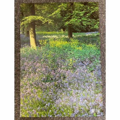 Picture of Suffolk Herbs Poster Bluebells