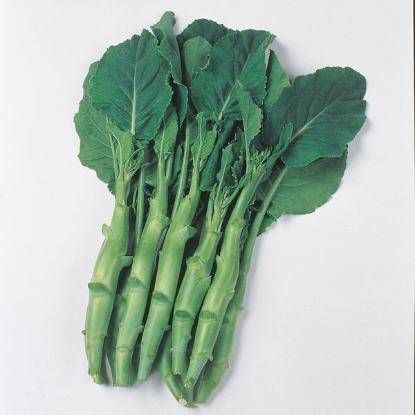 Picture of Chinese Kale  Kailaan