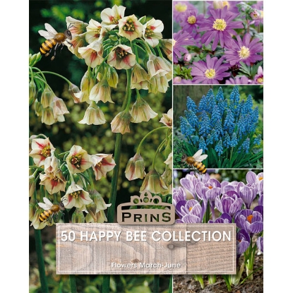 Picture of Happy Bee Collection - 50 Bulbs