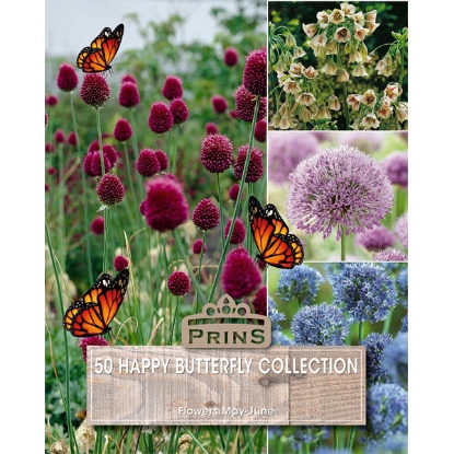 Picture of Happy Butterfly Collection - 50 Bulbs