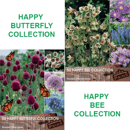 Picture of Happy Bee & Happy Butterfly Collection - Buy One Pack Of Each