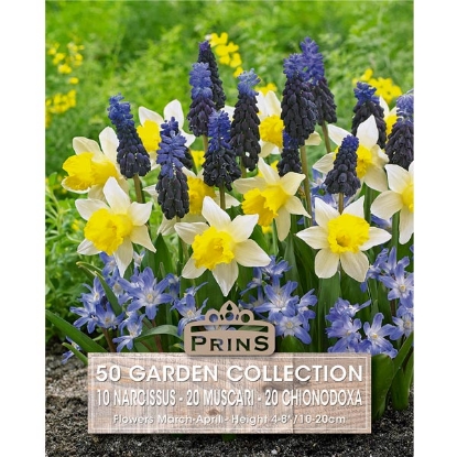 Picture of Garden Bulb Collection - 50 Bulbs