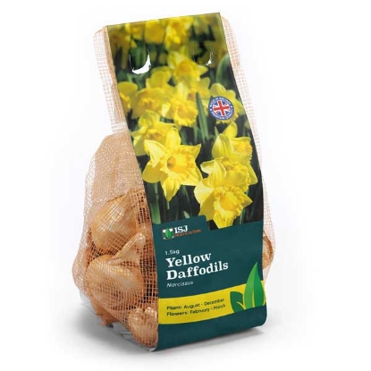 Picture of Daffodil Bulbs 1.5kg - Mixed Yellow