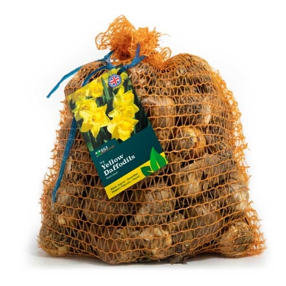 Picture of Daffodil Bulbs 5kg - Mixed Yellow