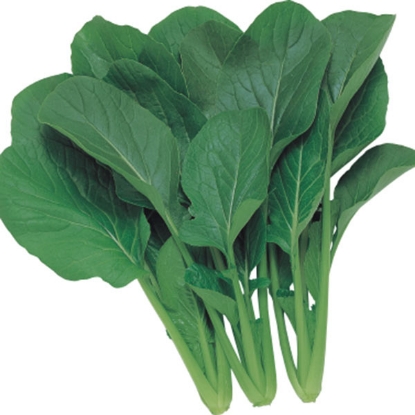 Picture of JAPANESE GREENS, Green Boy