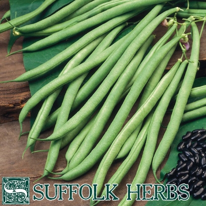 Picture of Climbing French Bean Cobra ORGANIC SEED