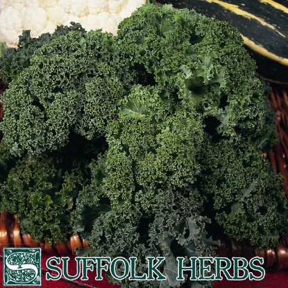 Picture of KALE Westland Winter Borecole ORGANIC SEED